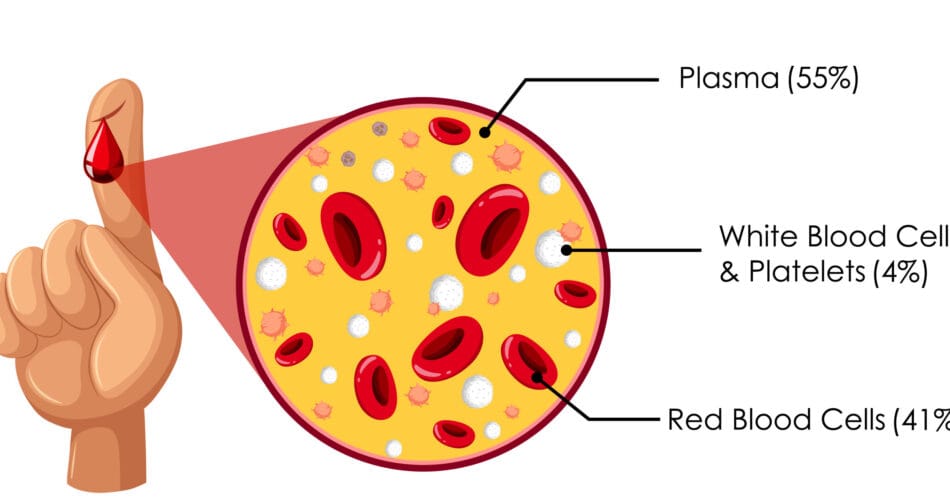 Health Blood Platelets